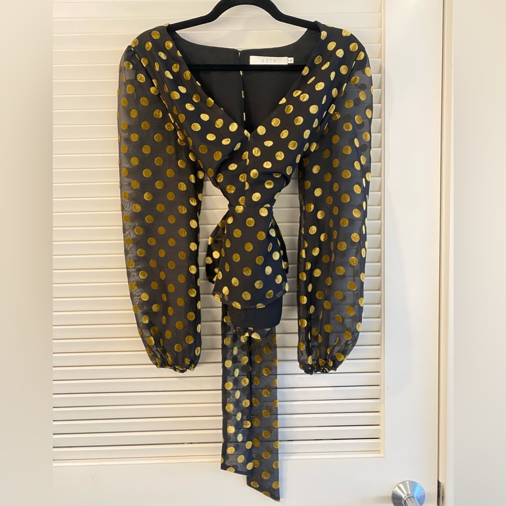 ASTR the label - Sheer Sleeved Blouse